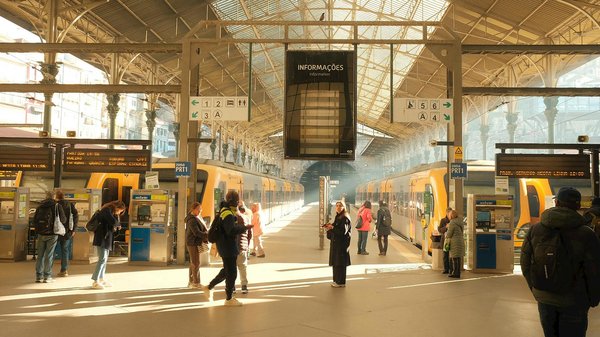 Cartons de déménagement : les meilleures options à prix choc