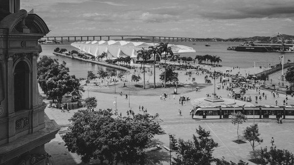 Soins adaptés pour vos rongeurs de compagnie : guide pratique